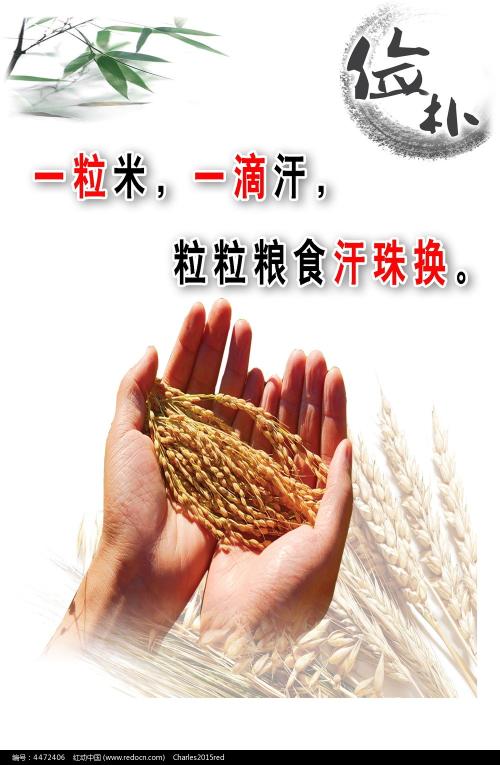 大阪産業大学 Business diploma